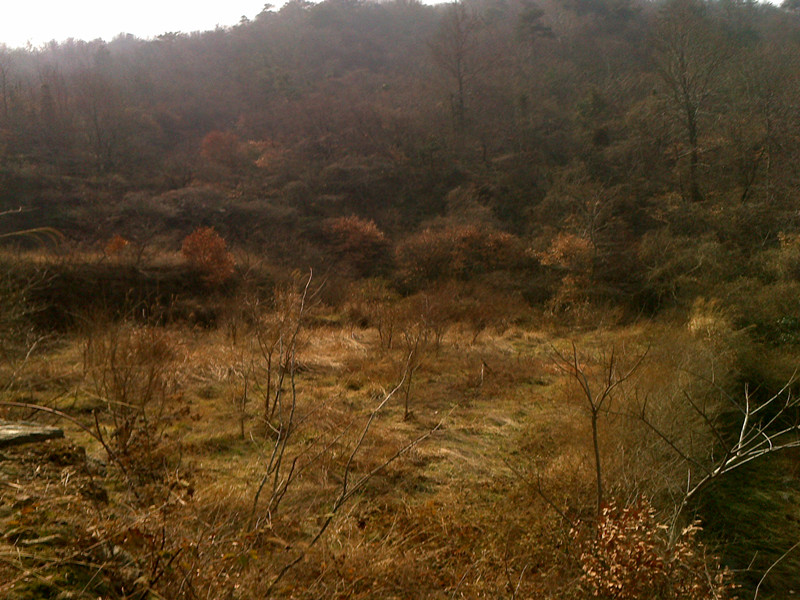 20120219139_.jpg