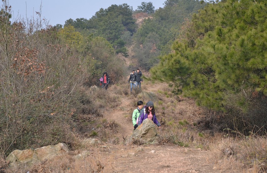 2012.2.18020.jpg