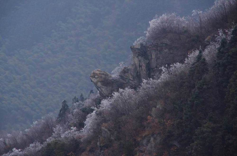 С  imgp4733.jpg