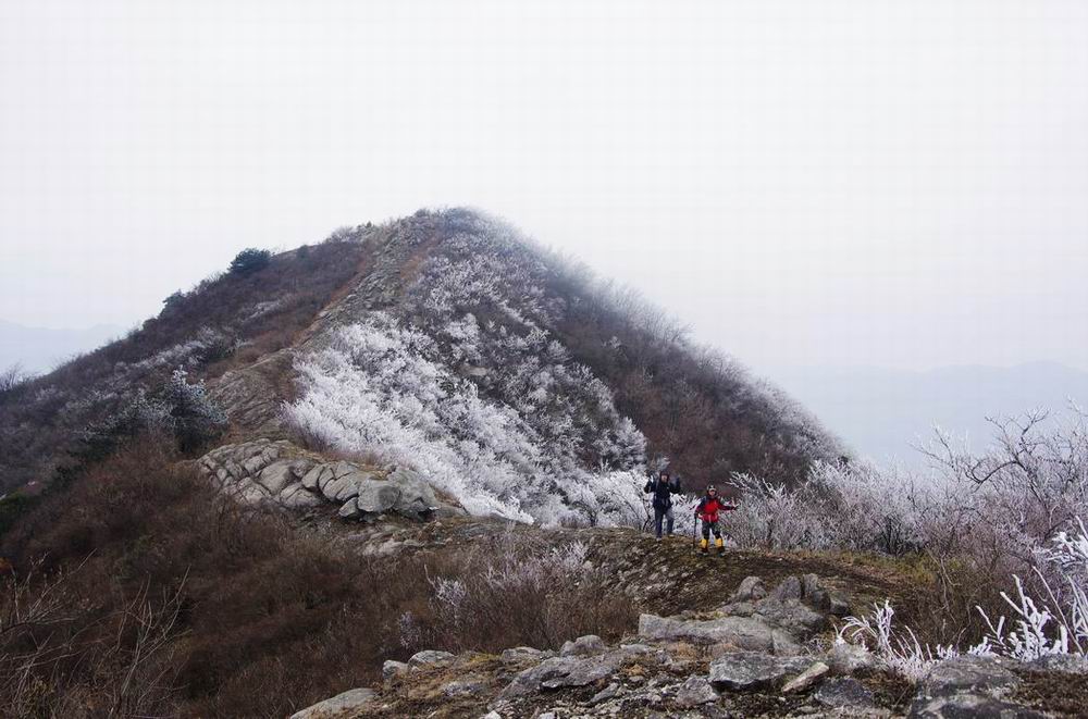 С imgp4796.jpg