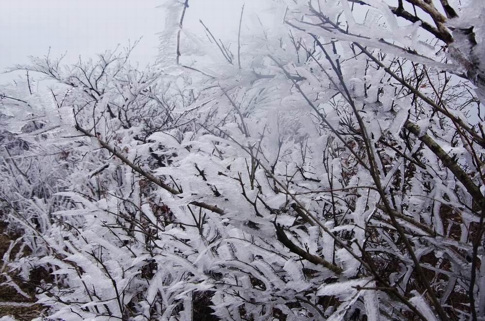 С  imgp4699.jpg