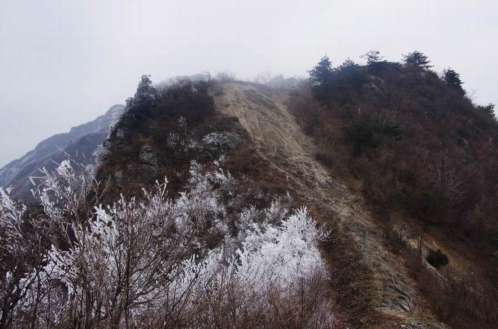 С  imgp4749.jpg