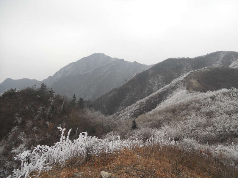 ۺ 3570.jpg