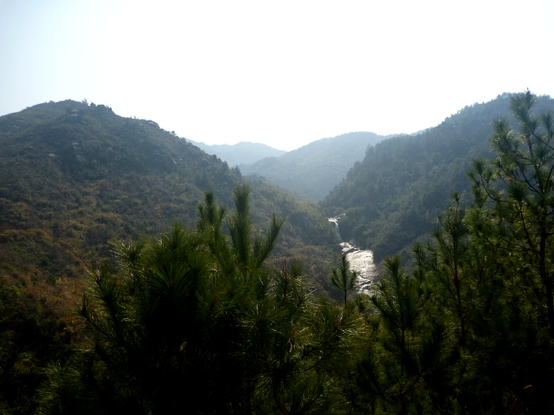 p1100697_.jpg