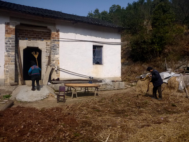 p1100699_.jpg
