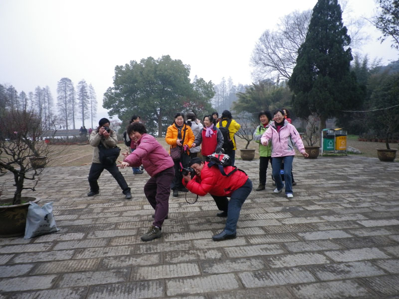 imgp0961.jpg