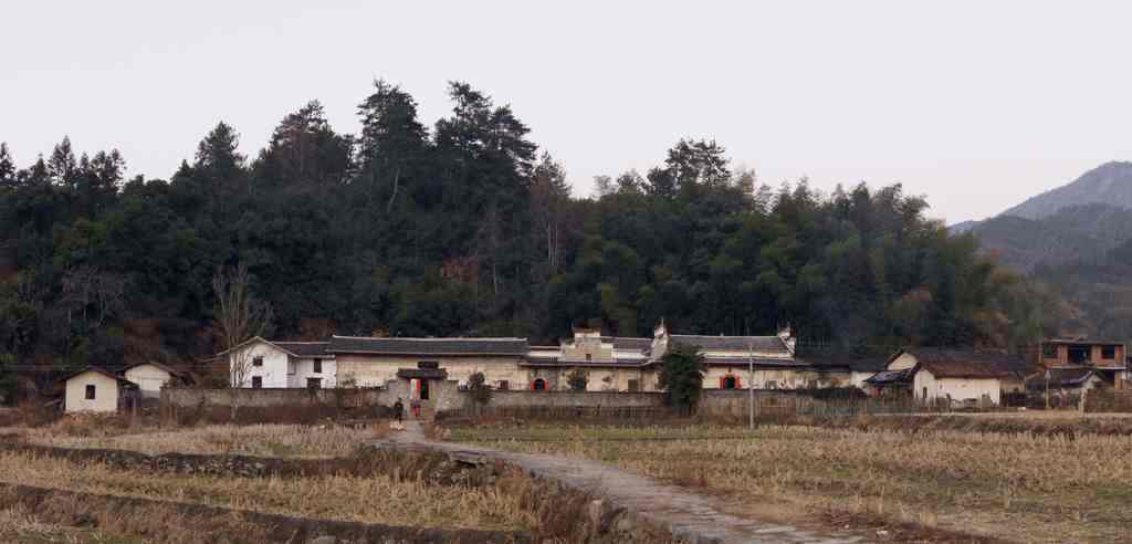 dsc08260.jpg