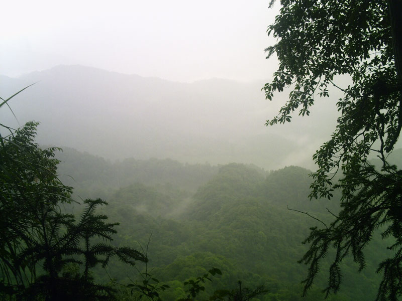 pict0162.jpg