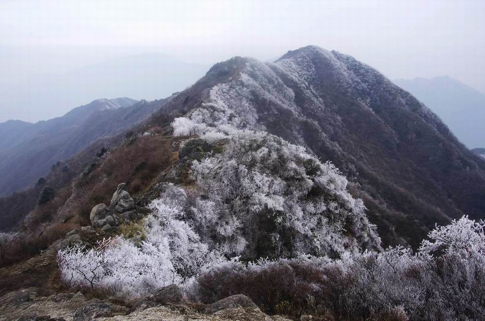 С  imgp4860.jpg