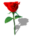 ҸĻ.gif