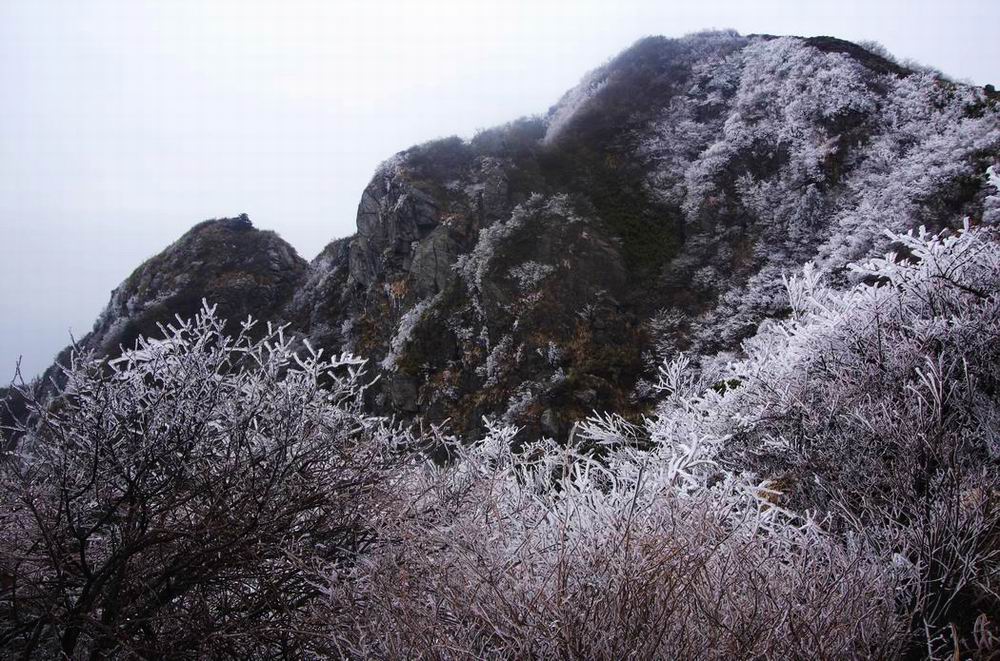 С  imgp4865.jpg