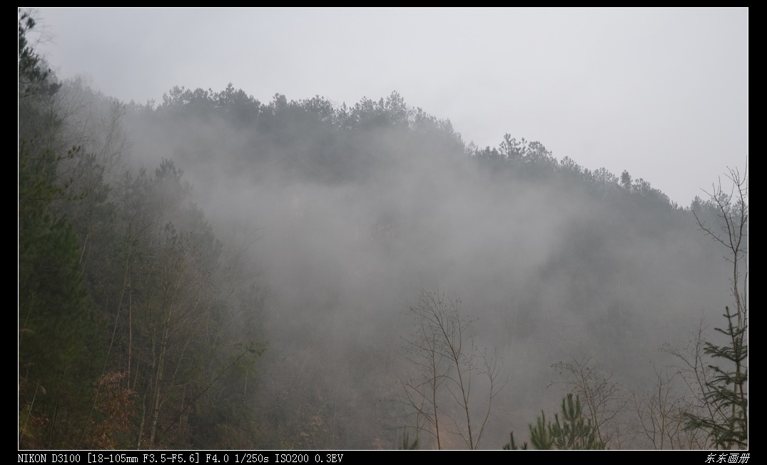 dsc_4520.jpg
