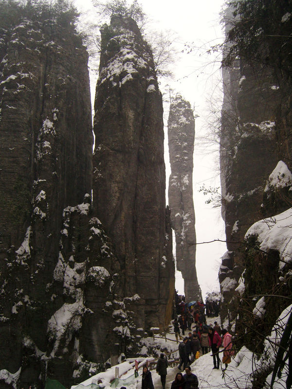  snc10095.jpg