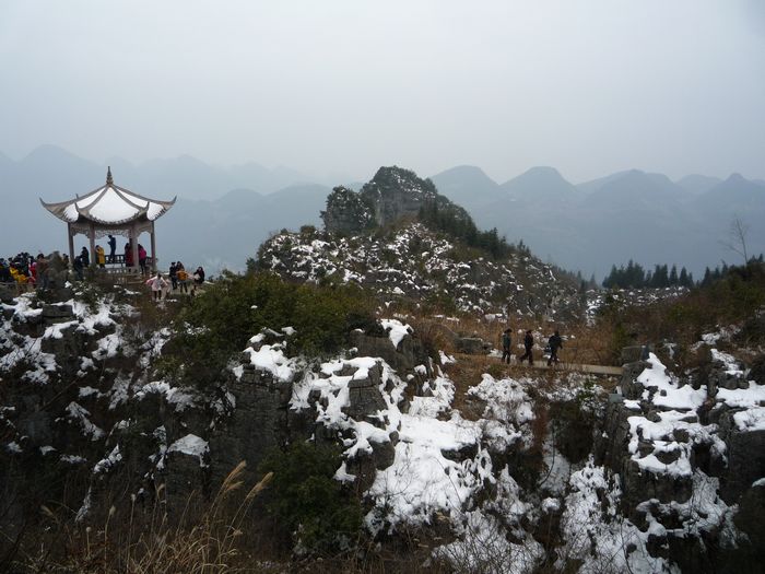 p1150674.jpg