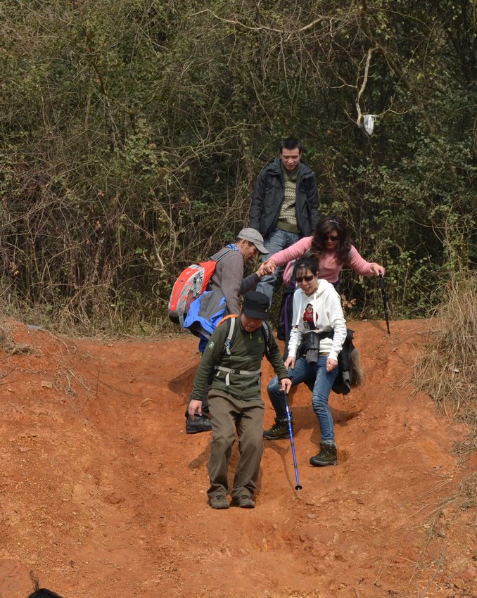 2012.2.18046.jpg