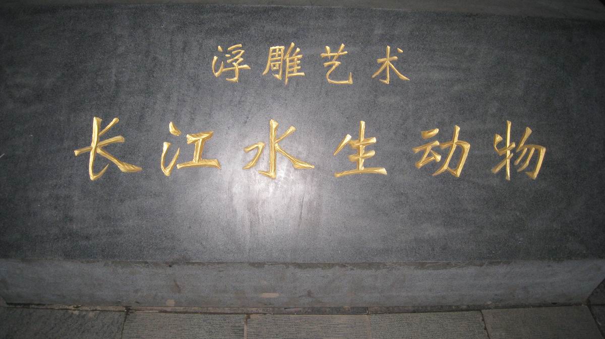 С 484 008.jpg