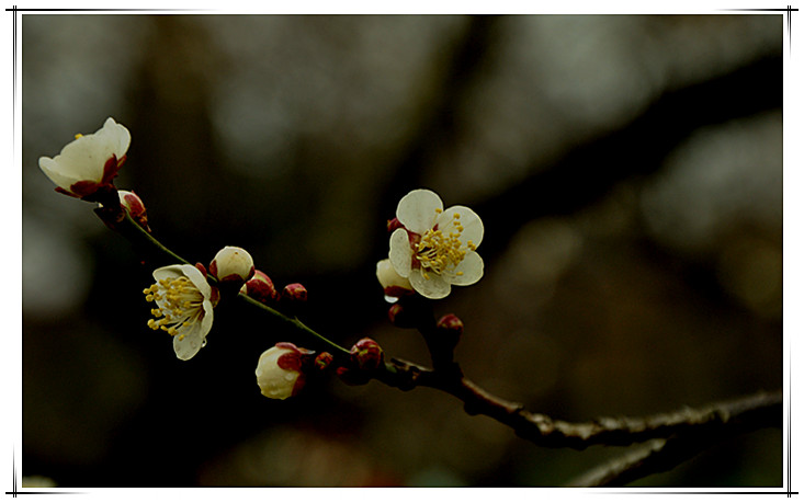 dsc_0066_.jpg