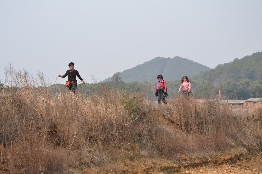 2012.2.18052.jpg
