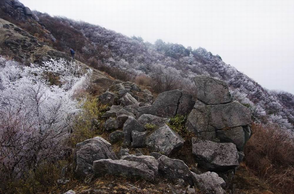 С imgp4844.jpg