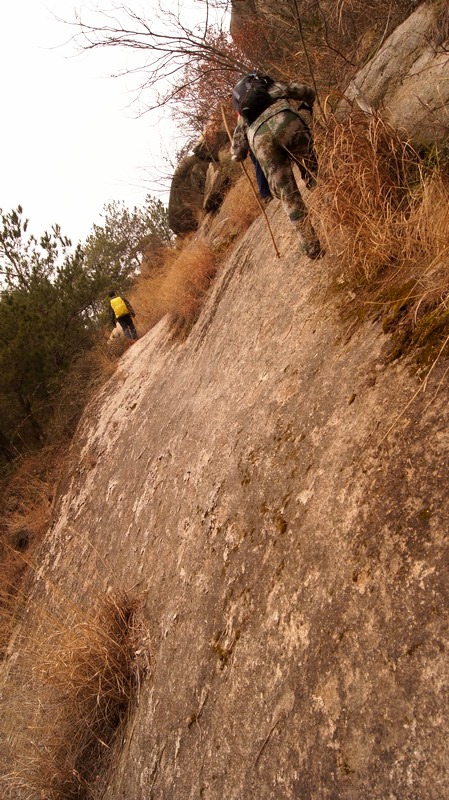 dsc09270.jpg