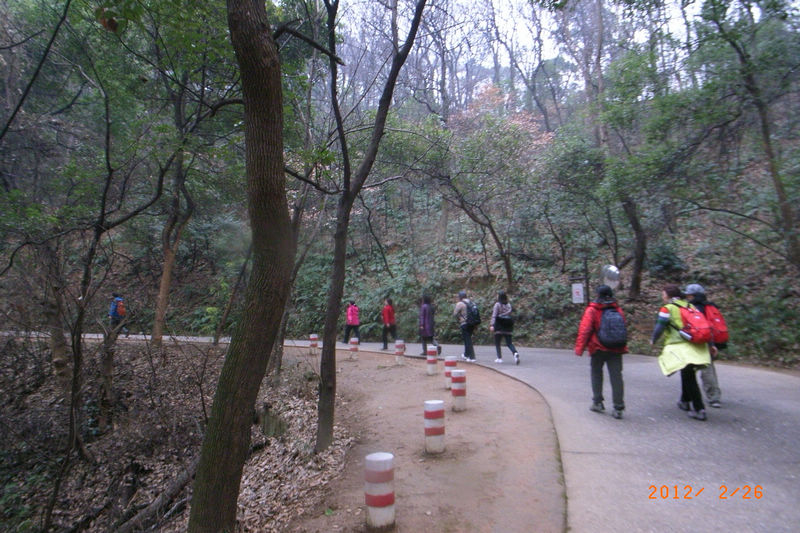 r0039961.jpg