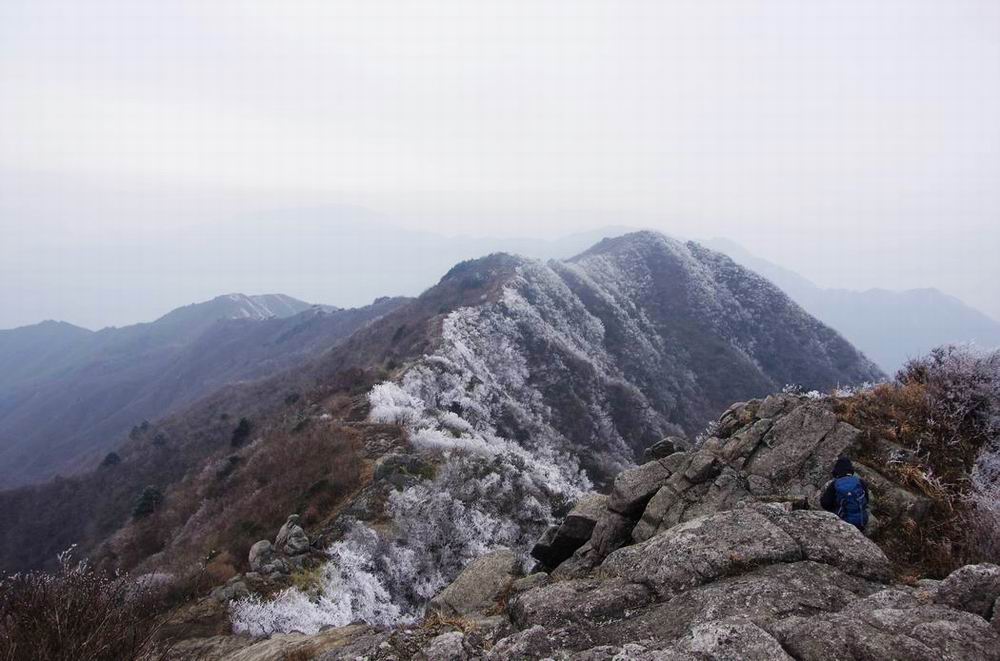 С imgp4870.jpg