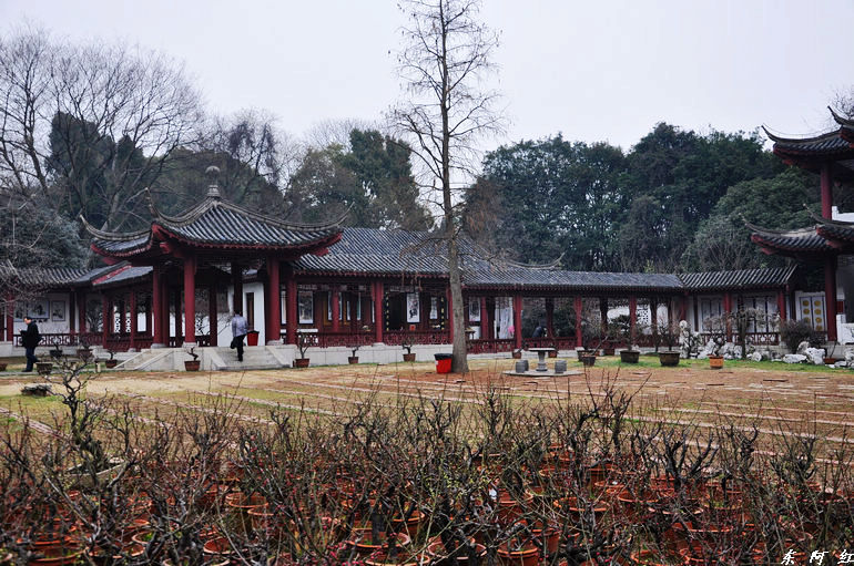 dsc_1401.jpg
