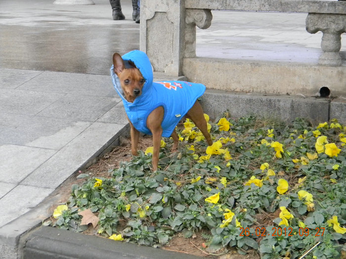 dscn4361.jpg