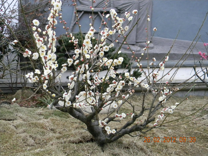 dscn4374.jpg