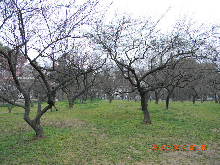 dscn4385.jpg