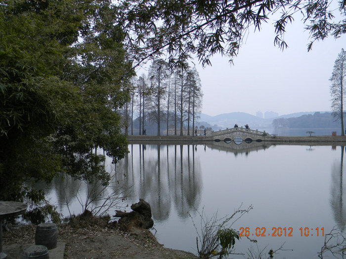 dscn4437.jpg