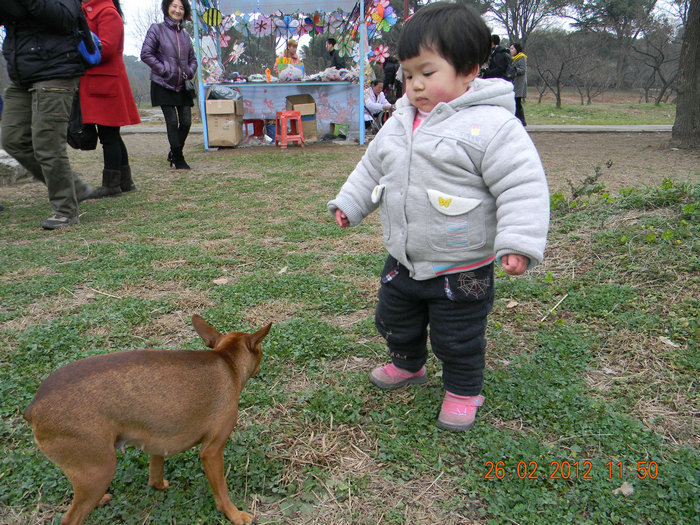 dscn4681.jpg