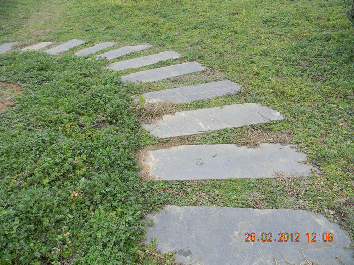 dscn4713.jpg