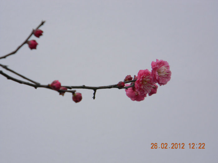 dscn4749.jpg