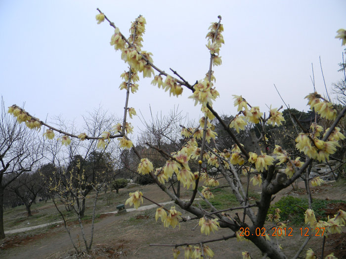 dscn4764.jpg