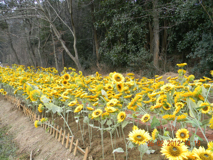 dscn4821.jpg