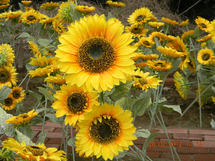 dscn4822.jpg