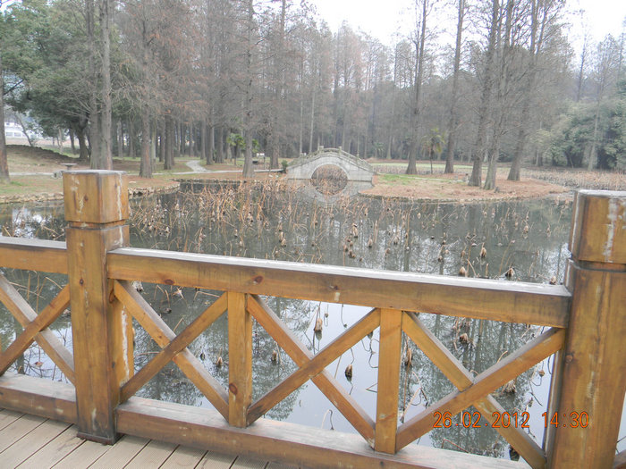 dscn4831.jpg