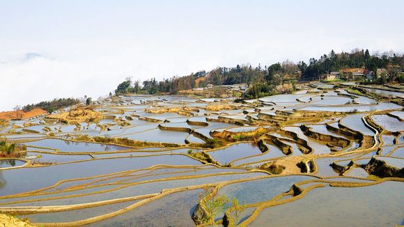 dsc_3274.jpg