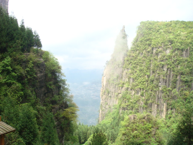 dsc02430.jpg