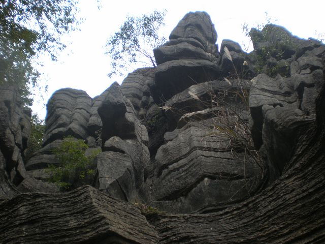 p2260092.jpg