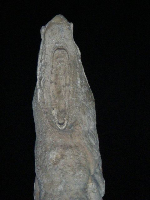 p2260084.jpg