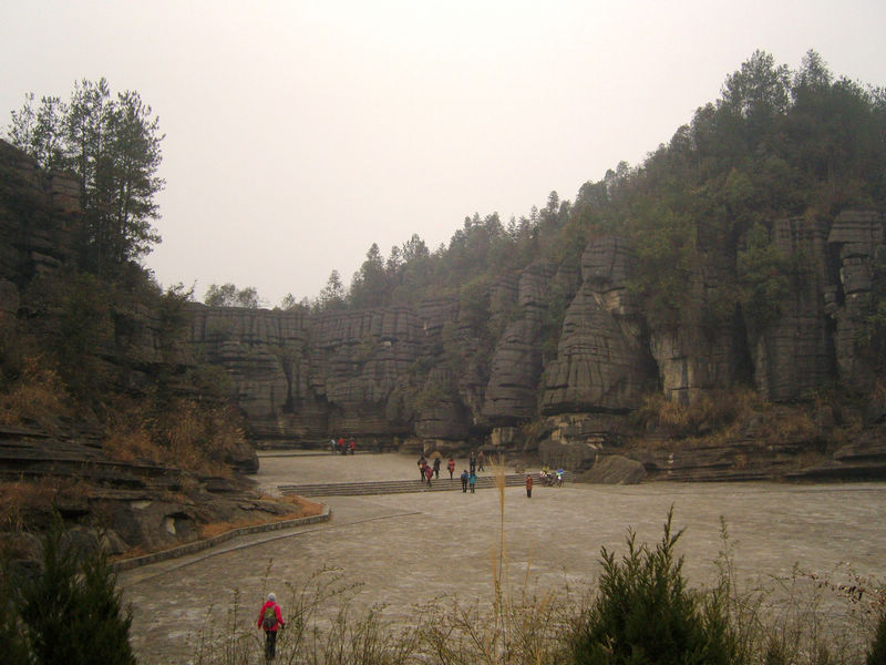  snc10110.jpg