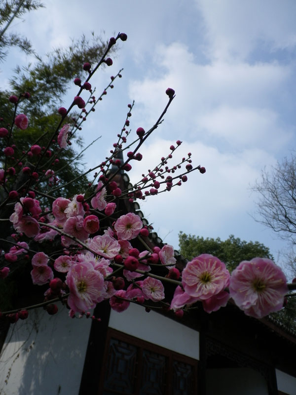 imgp0998.jpg