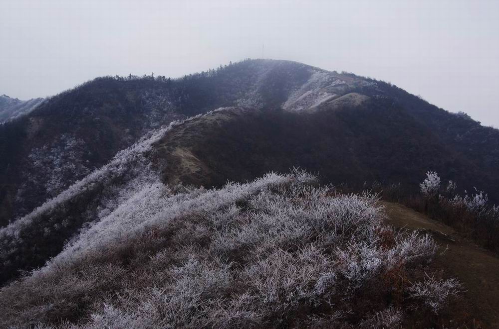 С imgp4726.jpg