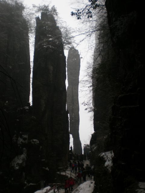 p2250034.jpg