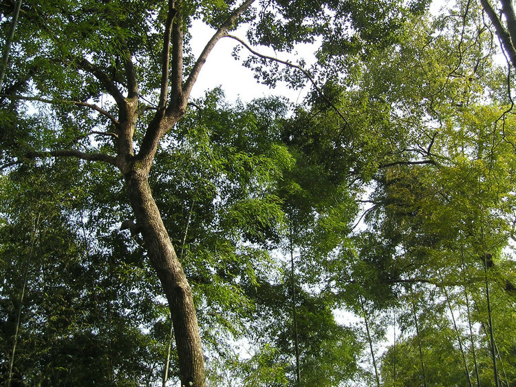 p1010317.jpg