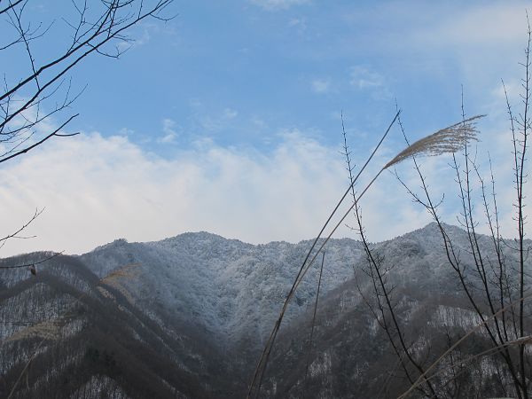 2012 449a.jpg