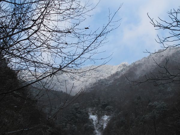 2012 439a.jpg