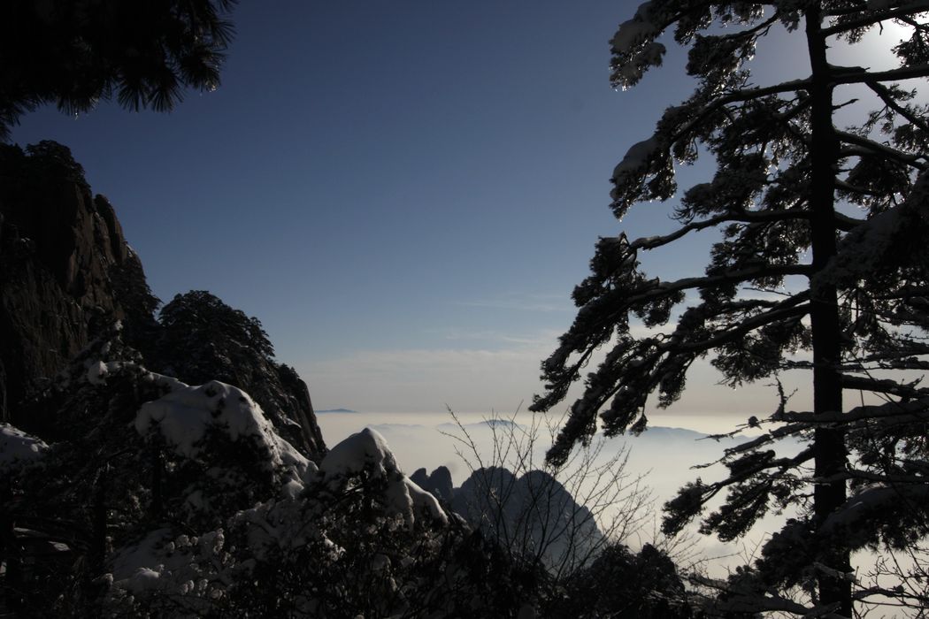 _mg_7343.jpg